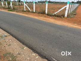 Land / Agricultural land