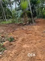 Moozhikkal ആനക്കയം റോഡ്(4 cent /2,25000)