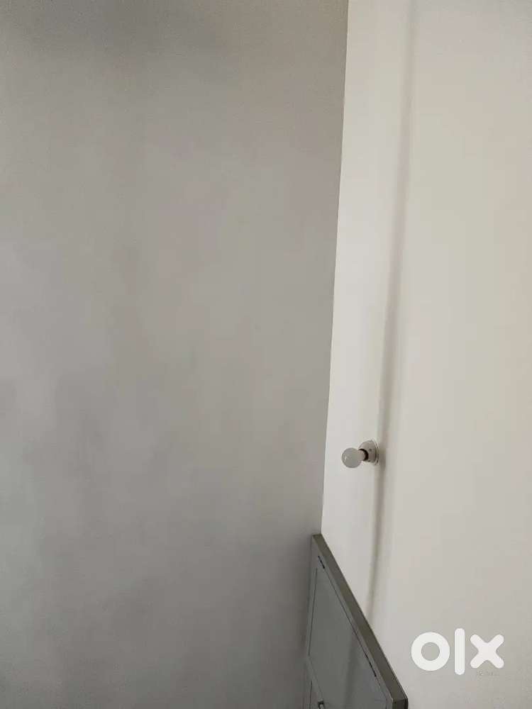 House cleaning and cooking for 2  member for family.