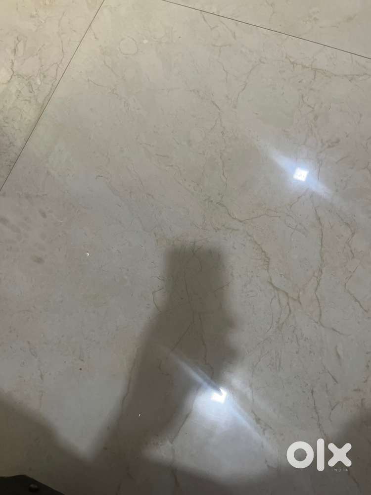 DERMATOLOGIST