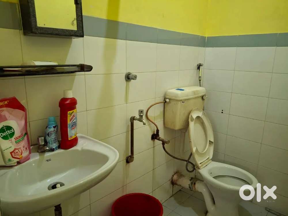 1 bhk beautiful flat for rent at Sukho Brishti