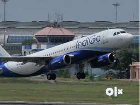 Urgent hiring for ground staff in Lucknow airportCabin Crew/ Airport Ground Staff Jobs in Indigo lim...