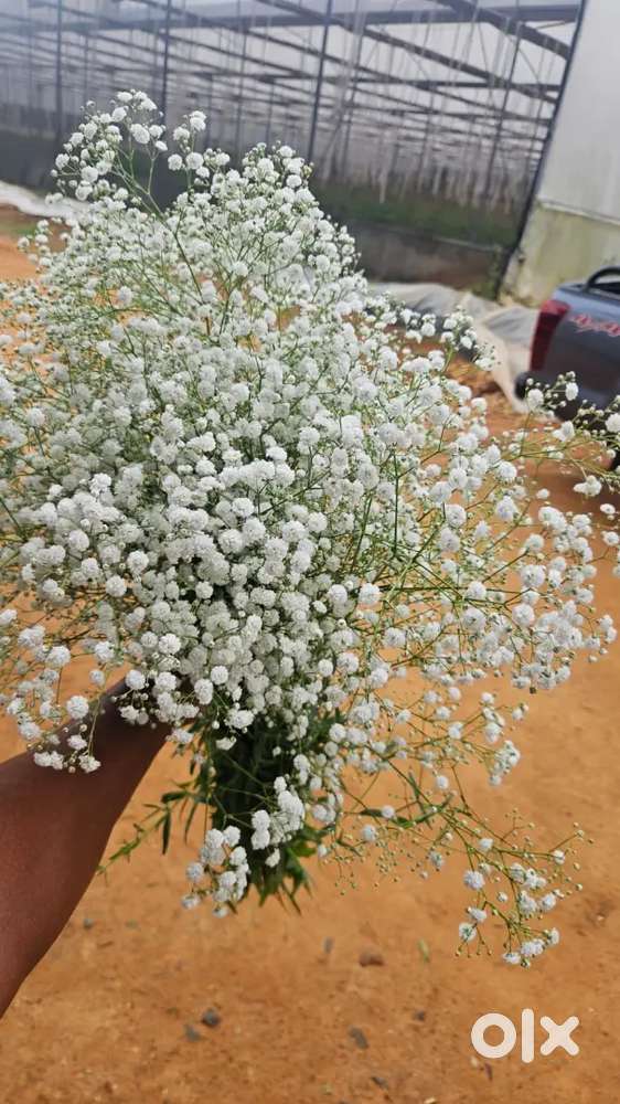 Hiring Florists