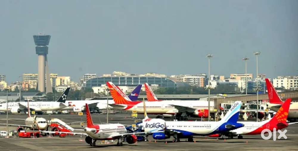 Cabin Crew/ Airport Ground Staff Jobs in Indigo airlines.
