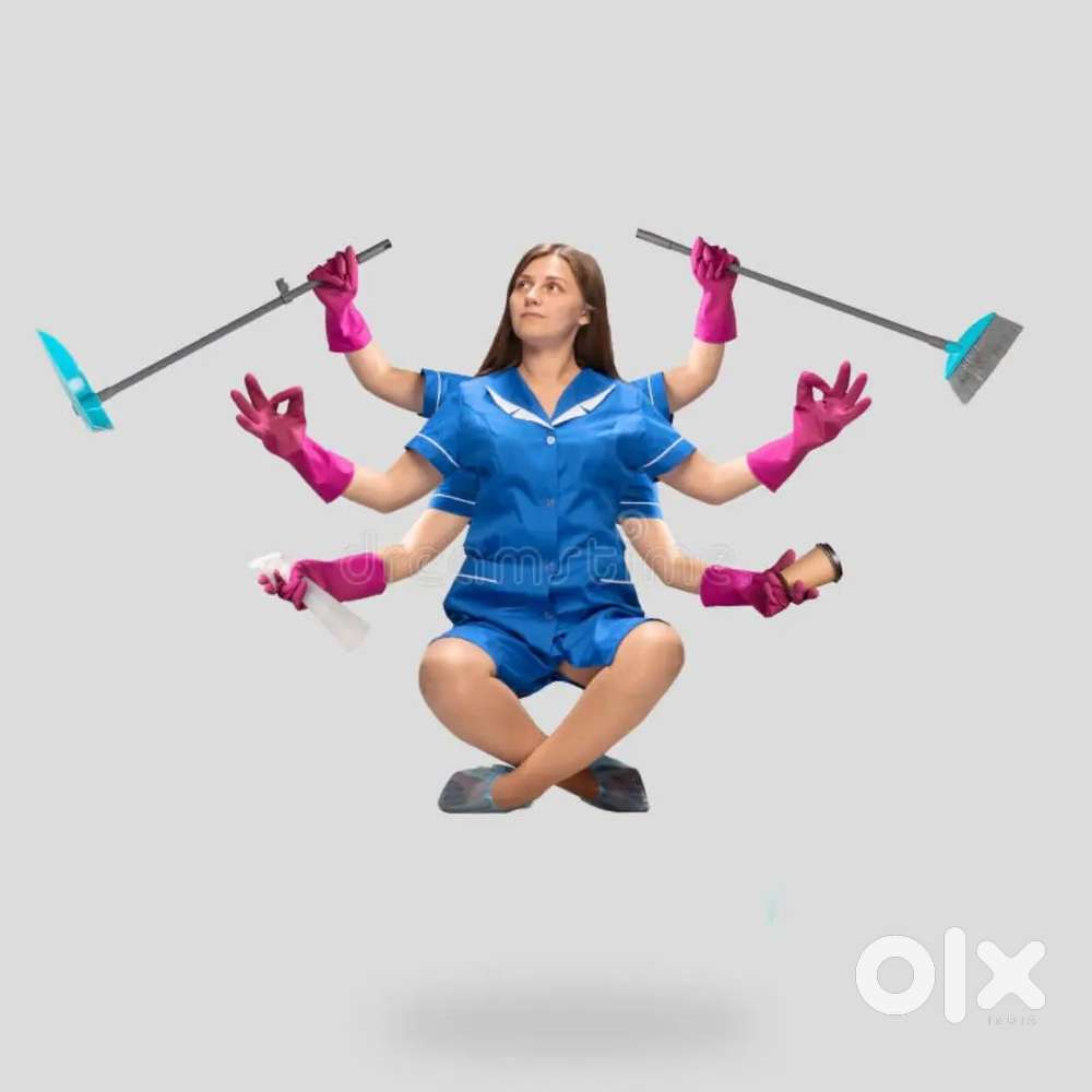 Multi-talented - need maid for 2 bhk home