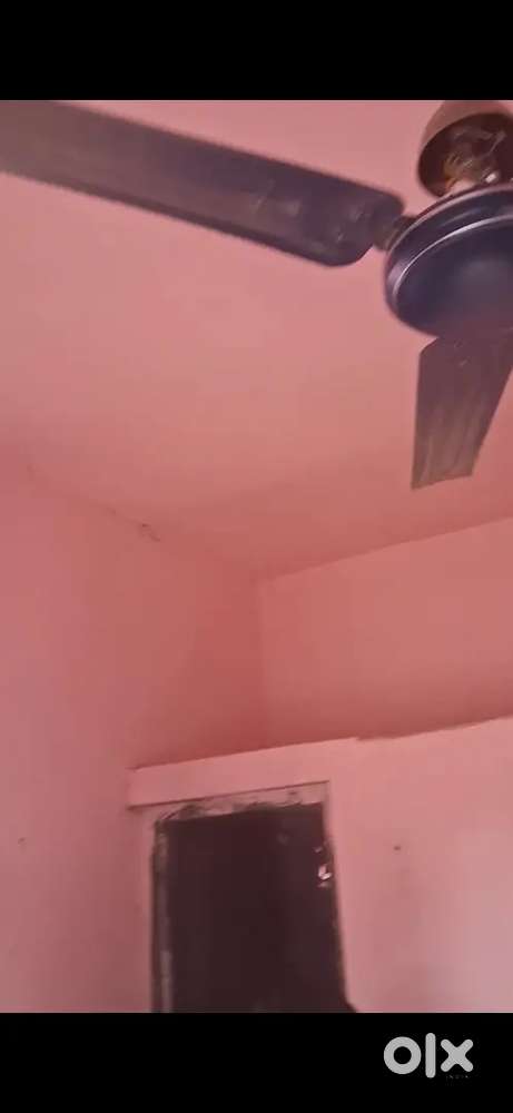 Need a competitive roommate