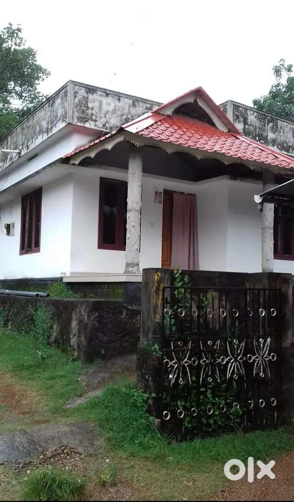 House and plot for sale