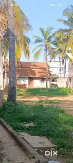 Old house land, for sale E katha..1480 sqft,kannalli,