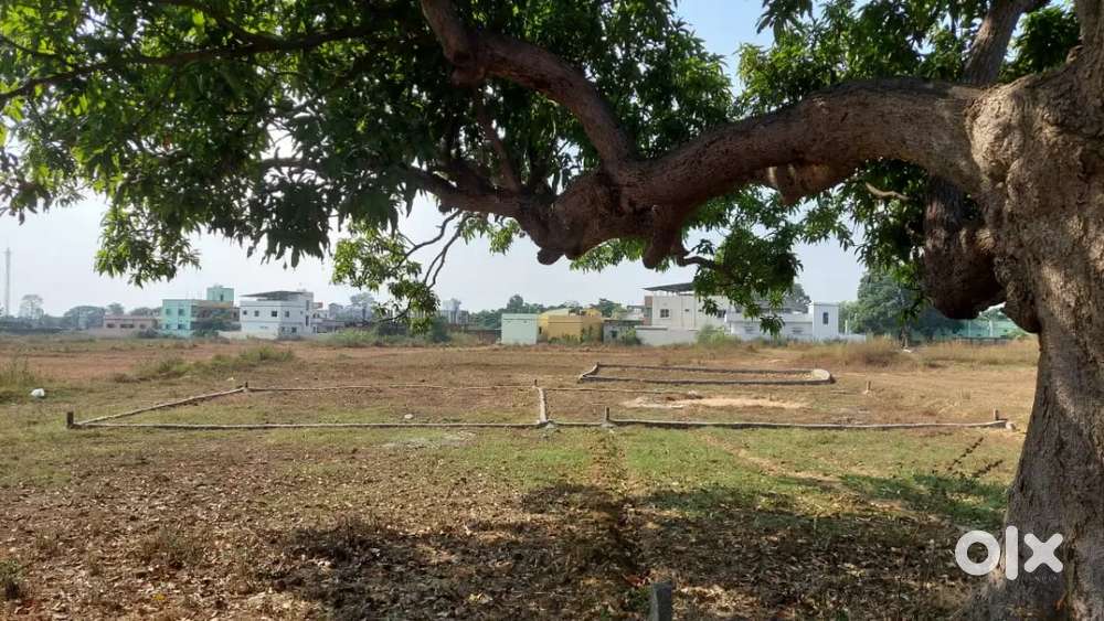 Dhanupali bhatra govt medical back side