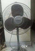 Crompton BrizStar Farrata Fan.
