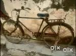 Milton Cycle