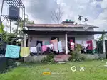 Land sale in Nalbari chowk bazar