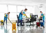 MD professional cleaning services