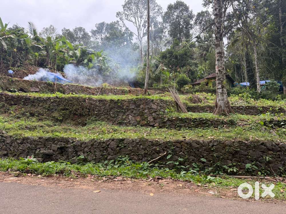 20 Cents road frontage house plot for sale