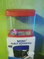 Mini fish tank with decoration toy
