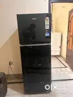 Only 1 year old