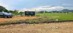 Near Aamaravathi mulapadu golden meadows