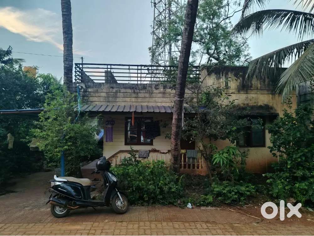 House and plot for sale