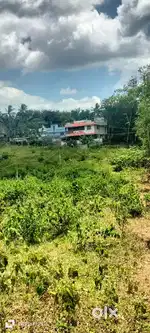 250 cent land sale parambu purayidam kaliyal  alamjola  nagarkovil
