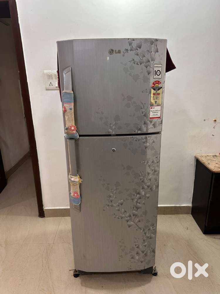 LG 240 litre double door fridge