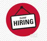 I WANT 20 CANDIDATE'S FOR WORK FROM HOME