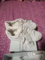 Shoes ( sneakers)
