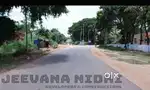 FARM LAND FOR SALE 6534sqft managed farm land