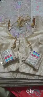 Saari with blouse