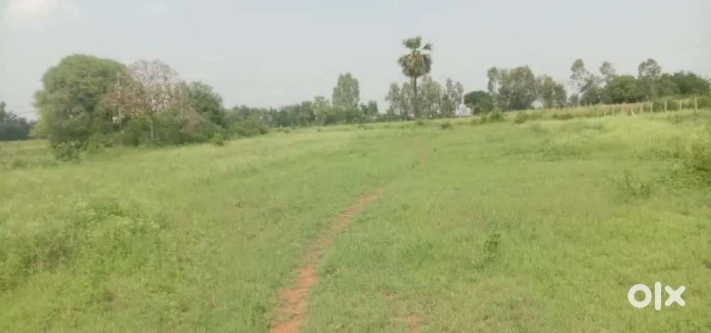 New national highway tirupathi