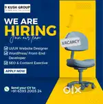 Website designer