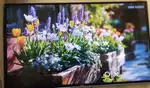 Haire 43led TV very excellent condition for sale absolutely Good