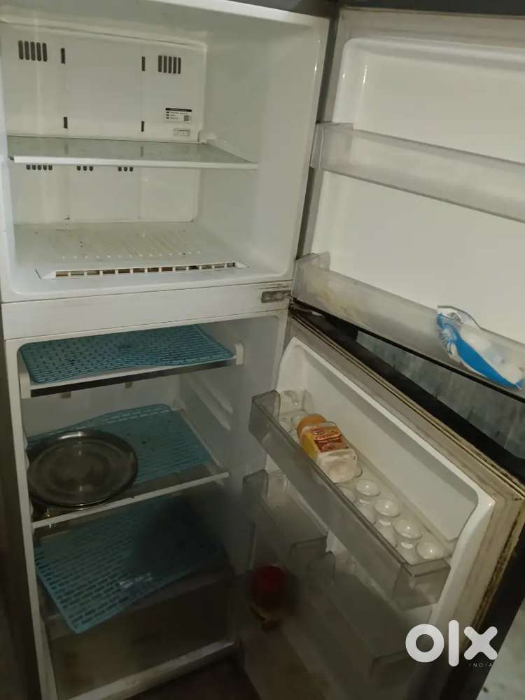 Lg.  Freeze