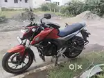 Honda hornet