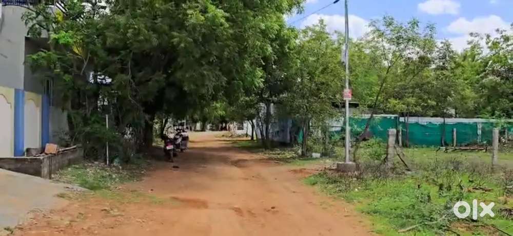 Thayagaraj Nagar plot Available Near Pusphalatha sch
