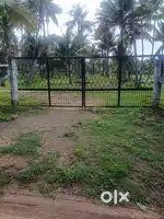 2 acre coconut thottam for sale