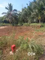 20 cent housing plot at thattumal padiyottichal