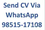 Required Female Candidate for Electronic Showroom.