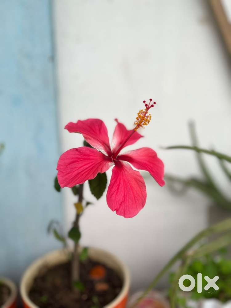 High land Residential plot for sale