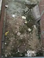 Small plot