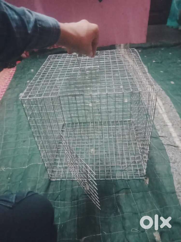 Net for rabbit,small hens etc