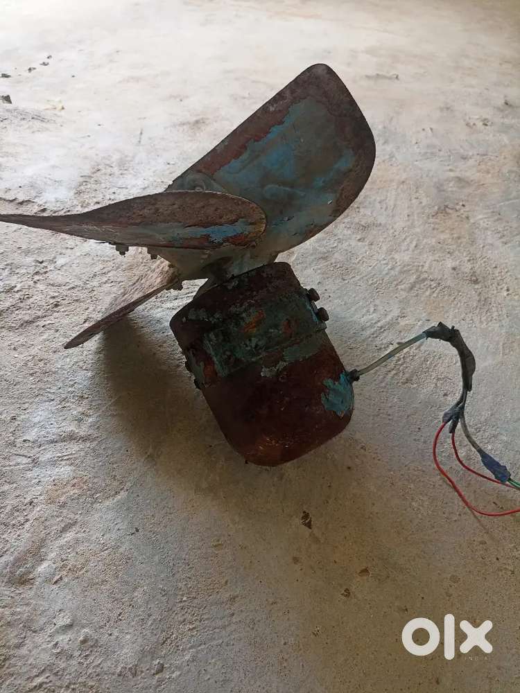 Agjast fan