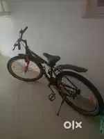 Alpha Tokyo Cycle