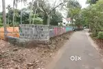House plot 18 cent near Medical college 4 lakh/cent
