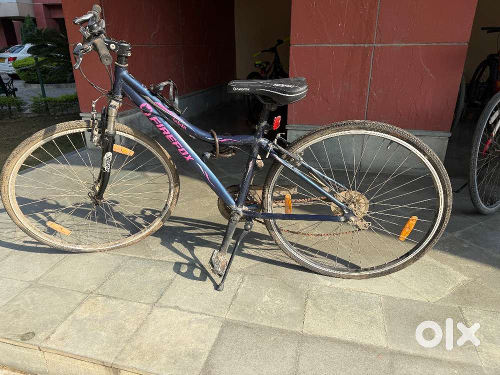 Ladies Cycle