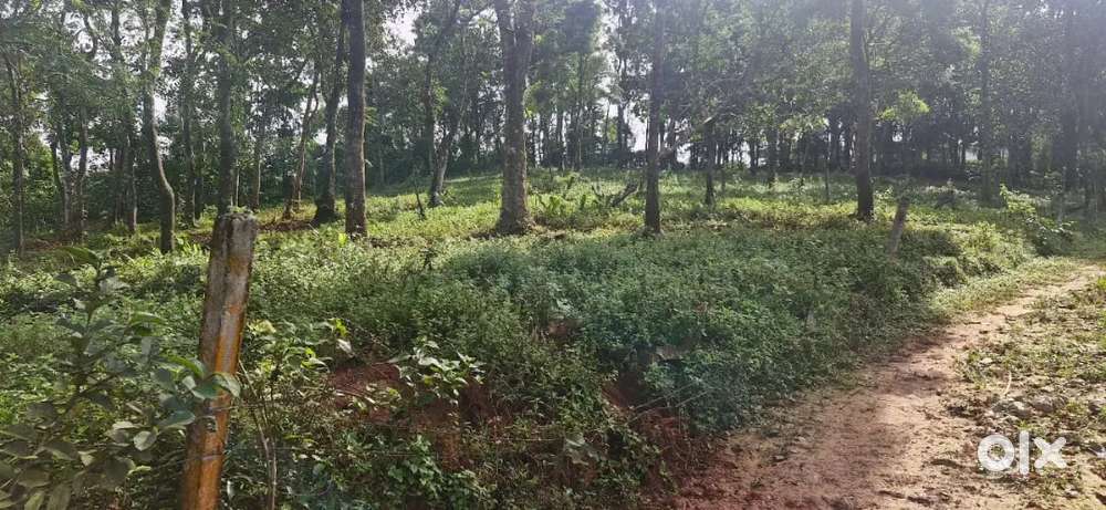 80 cent land  available in in vythiri ..pls refer plot drawing in pic