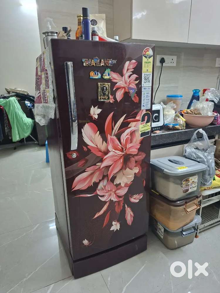 Haier fridge 2 year old