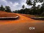 കാണക്കാരിൽ വിലക്കുറവിൽ പ്ലോട്ട്
