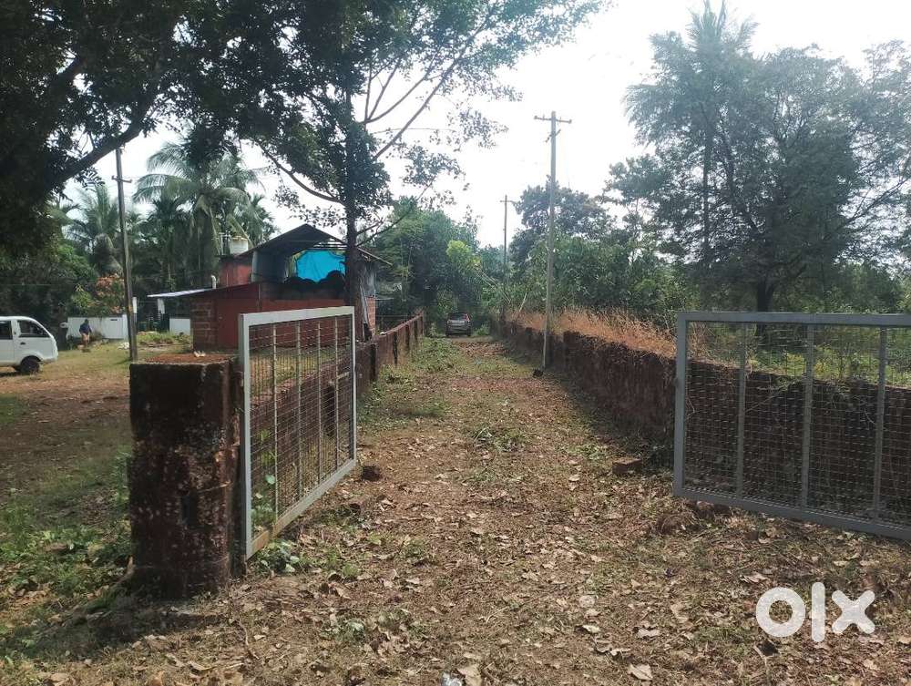 Plain Land -2.70 Acre - Near CRPF - Peringome