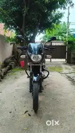 Pulsar 150 cc