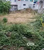 Plot For Sales